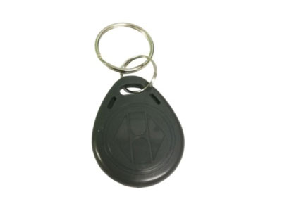 Купить Идентификаторы и аксессуары SLINEX rfid t5577 (серый)